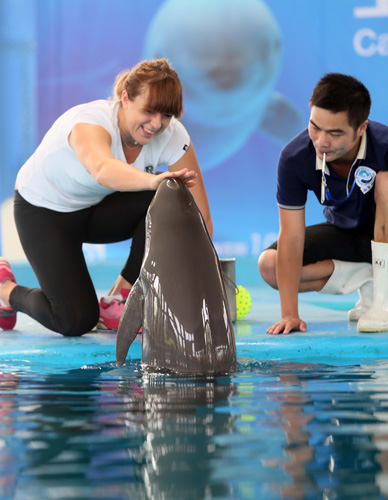 到运动带来 到运动带来