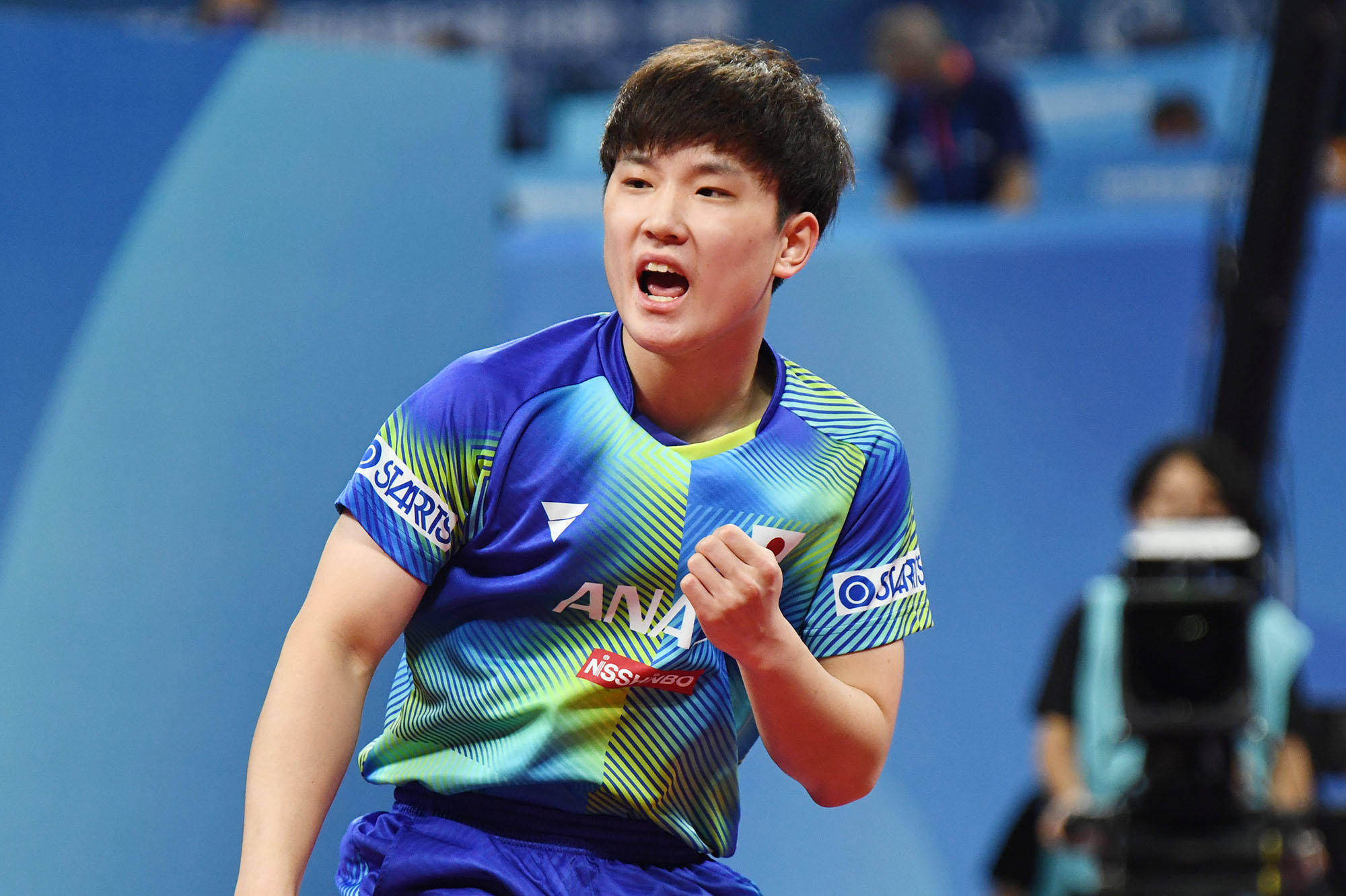 对于梅努而 对于梅努而